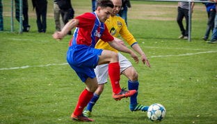 开云ios下载-体育新闻中心通报全国自由搏击赛事裁判培训班安排，全国自由搏击锦标赛比赛规则